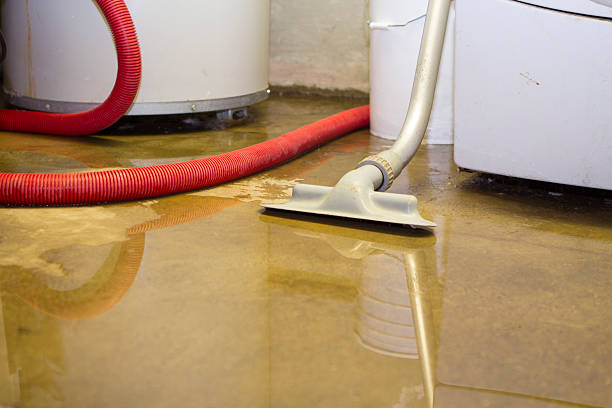 Best Odor Removal and Sanitization After Water Damage in USA